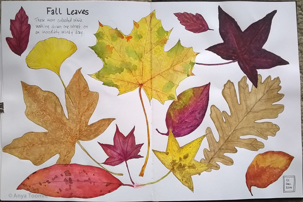 fall leaves, watercolor, ink, 2014